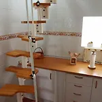 Punta Sol